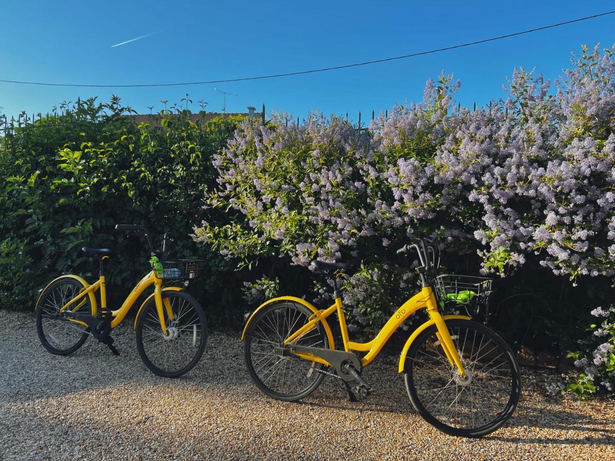 Demeure De La Garenne Bed and Breakfast Montmirail  Εξωτερικό φωτογραφία