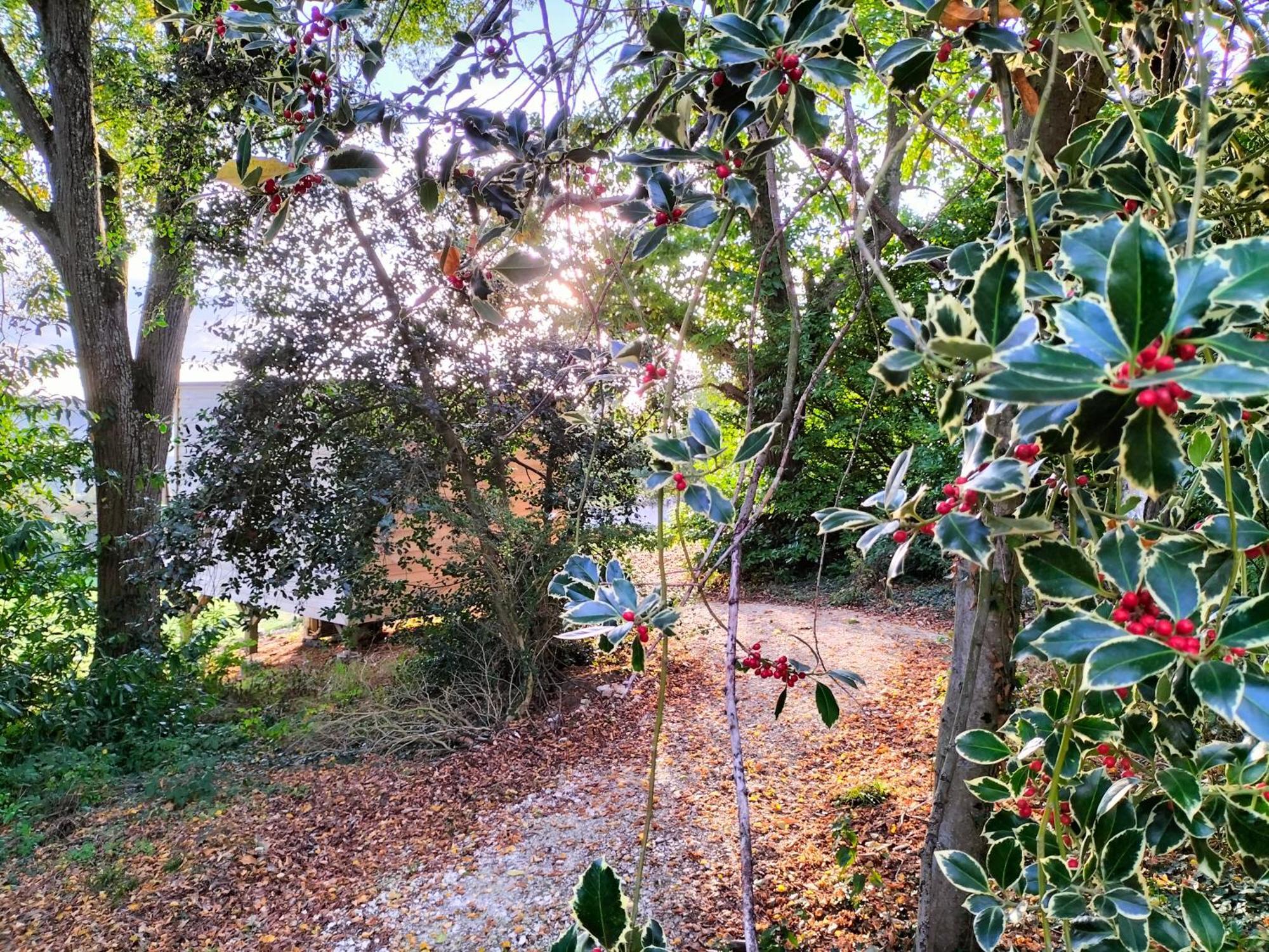 Demeure De La Garenne Bed and Breakfast Montmirail  Εξωτερικό φωτογραφία