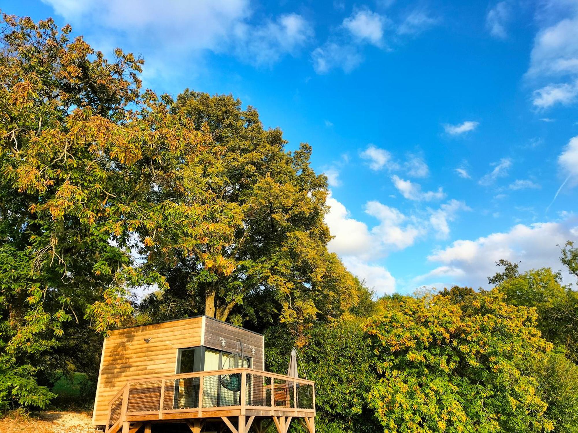 Demeure De La Garenne Bed and Breakfast Montmirail  Εξωτερικό φωτογραφία