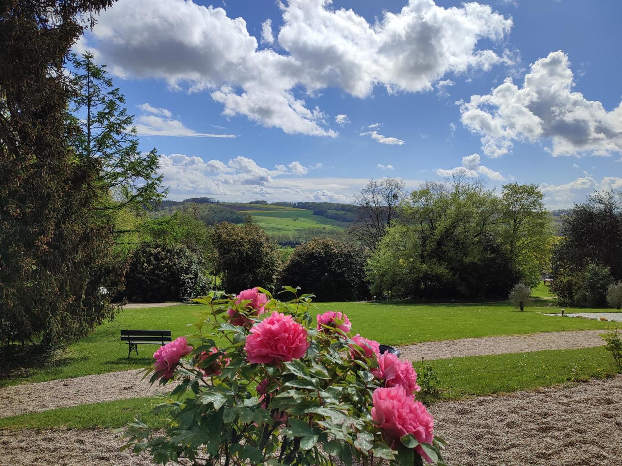 Demeure De La Garenne Bed and Breakfast Montmirail  Εξωτερικό φωτογραφία